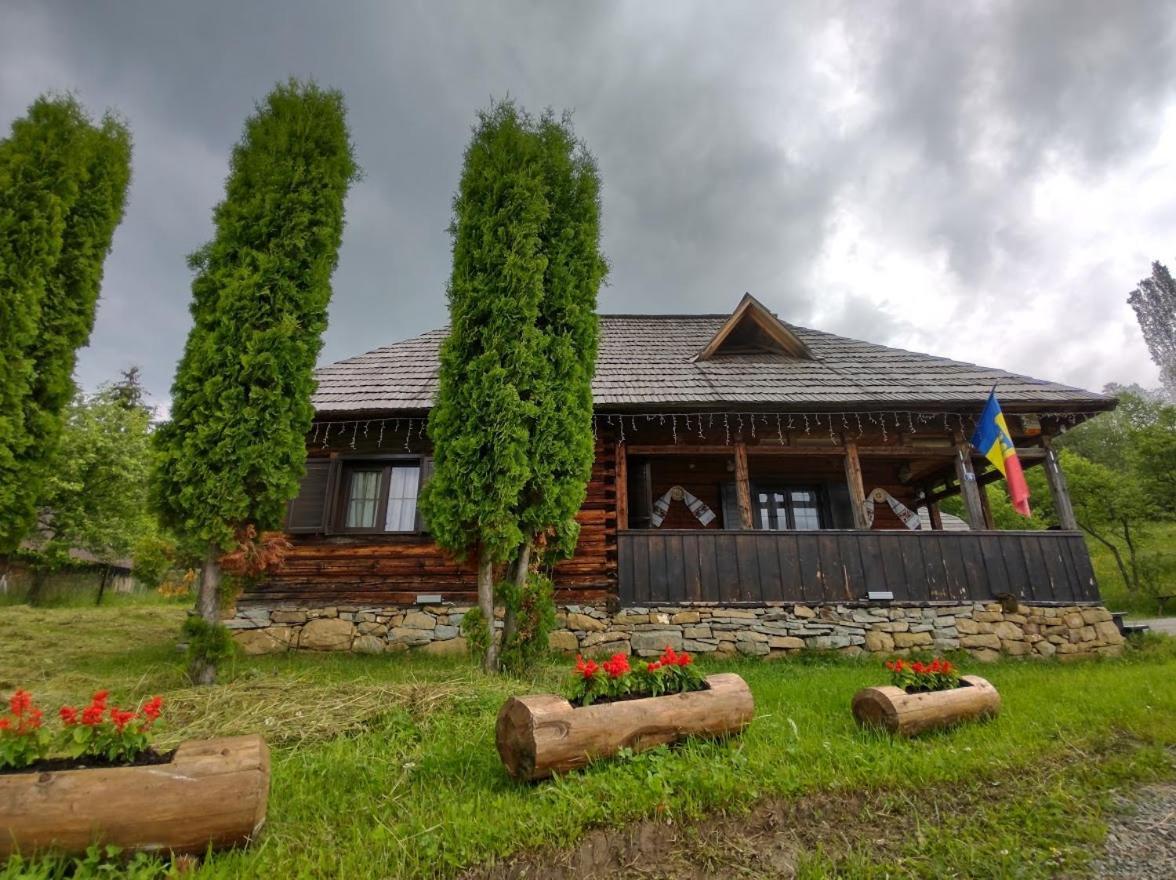 Căsuța lu' Liviu Villa Borşa Exterior foto