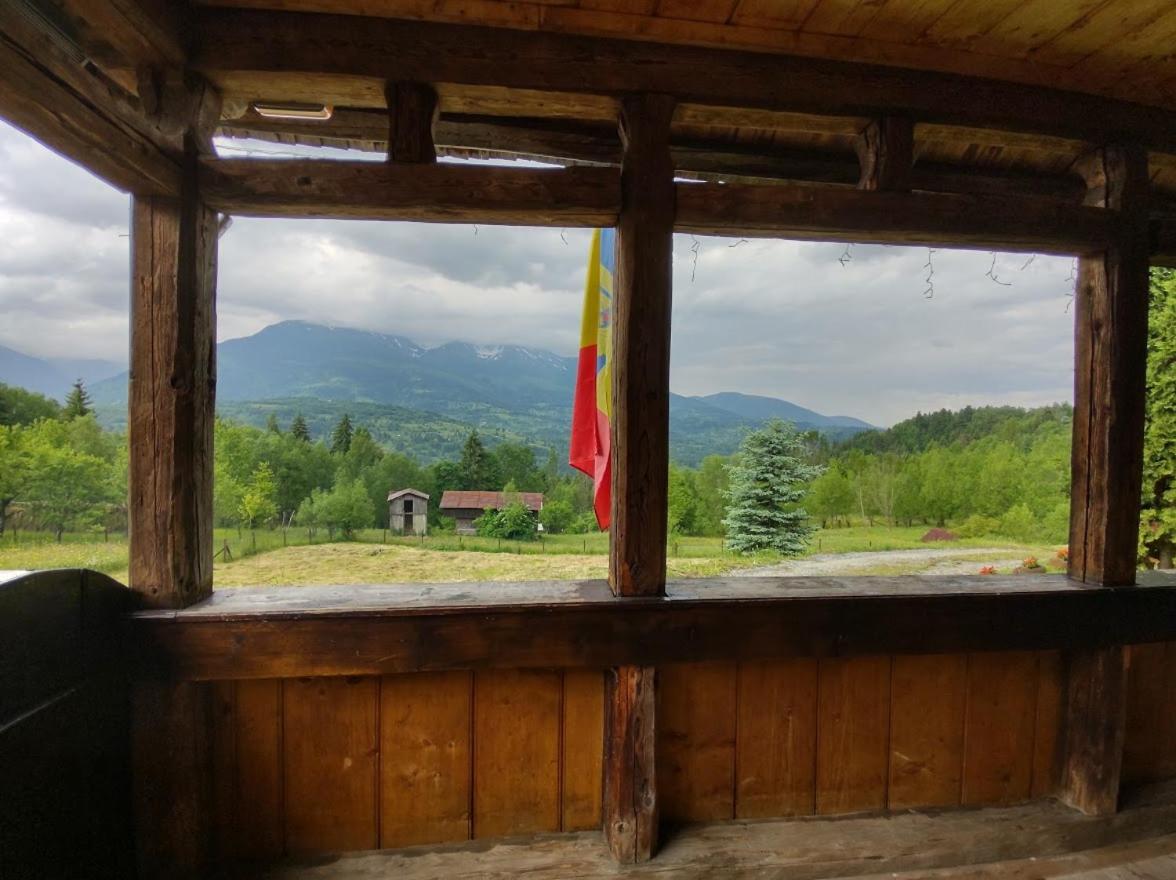 Căsuța lu' Liviu Villa Borşa Exterior foto
